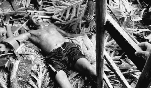 Hombre muere aplastado por árbol derribó Fiona en Nagua