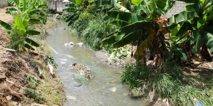Gobierno invertirá RD$1,268 millones en el DN