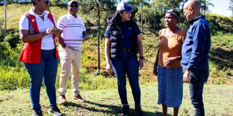 Unidad Proyectos Agropecuarios realiza jornada de siembra en Azua