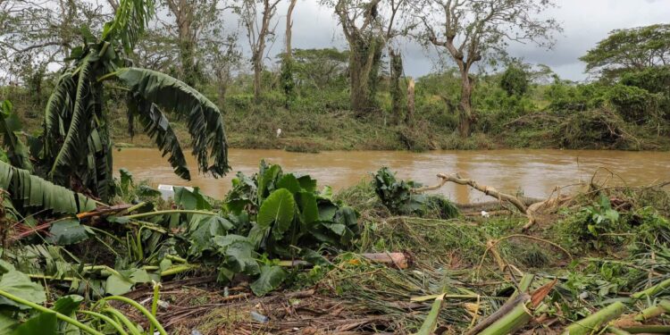 Gobierno anuncia ayuda productores afectados por huracán