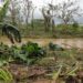 Gobierno anuncia ayuda productores afectados por huracán 