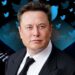 Elon Musk: “El pájaro ha sido liberado”