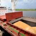 Rusia | Suspende acuerdo exportación de granos
