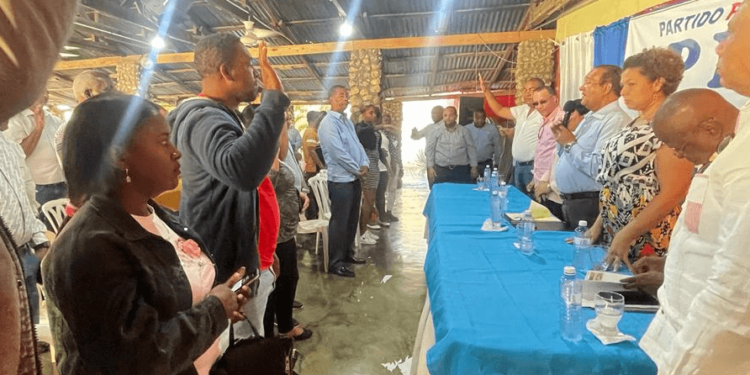 PPG juramenta estructuras municipales en el Sur