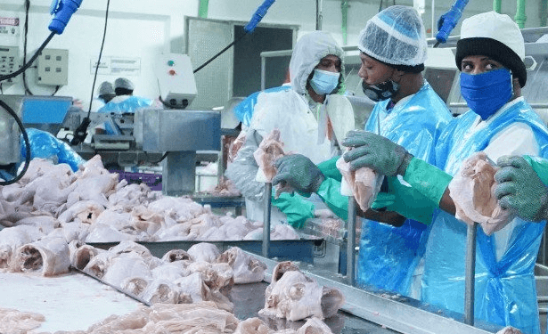 Industria dominicana de carne crece y diversifica mercados