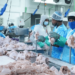 Industria dominicana de carne crece y diversifica mercados