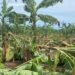 Gobierno entrega recursos productores afectados por huracán Fiona