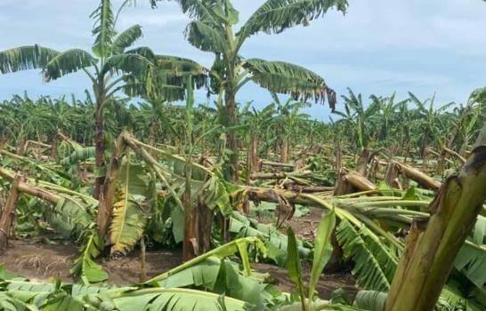 Gobierno entrega recursos productores afectados por huracán Fiona