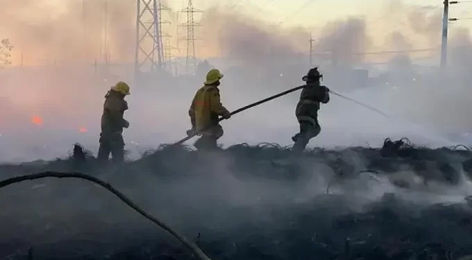Bomberos SDE: «Incendio depósito gomas viejas lo provocó enajenado»