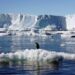 Australia | Aumento fenómeno “El Niño” provocará deshielo en la Antártida