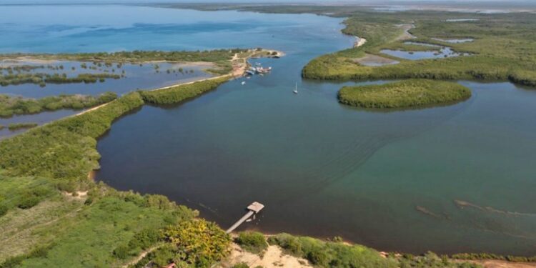 FP denuncia gobierno destruye refugio vida silvestre en Montecristi