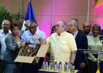Pide destitución director policial por agresión a casa nacional PLD