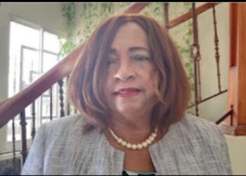 Ministro Salud suspende directora provincial de Barahona