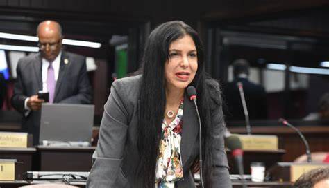 Ministerio Público deposita acusación por lavado contra diputada PRM