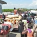 RD dejó de exportar US$84.73 millones a Haití en 45 días