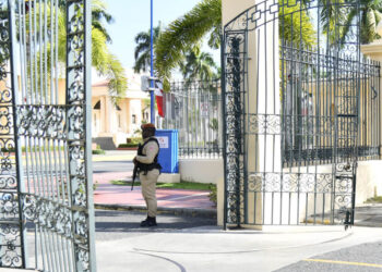 Conductor derriba puertas de entrada al Palacio Presidencial