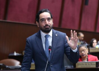 Diputado propone reducir cantidad de legisladores y eliminar privilegios