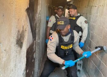 Autoridades incautan más de 146 mil gramos de distintas drogas en operativos