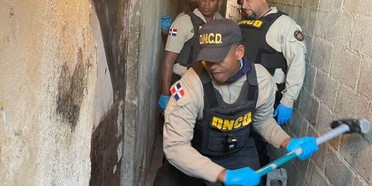 Autoridades incautan más de 146 mil gramos de distintas drogas en operativos