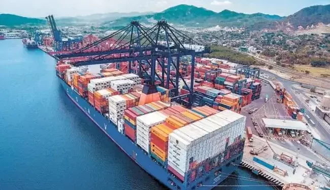 Zonas Francas incrementó un 134% contenedores mensuales en D24H entre octubre y diciembre 2023