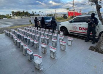 Sigue ofensiva contra narcotráfico; autoridades ocupan 400 paquetes de cocaína en Peravia