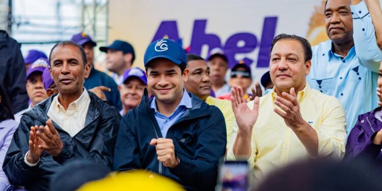 Juan Ariel Jiménez: «El PLD defenderá el voto de Omar Fernández»