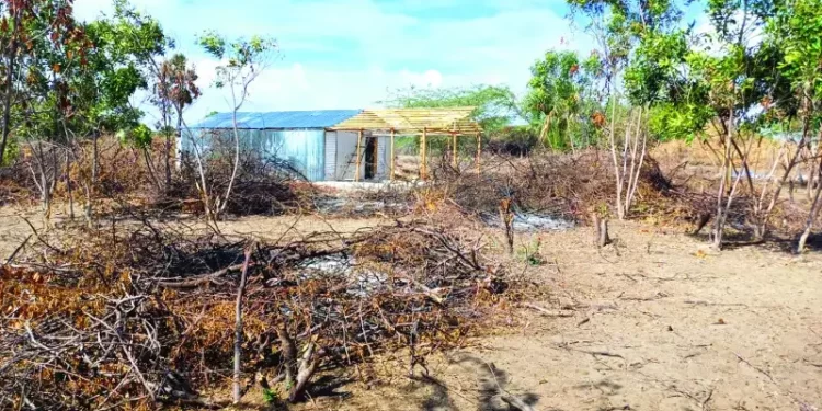 Medio Ambiente refuerza la vigilancia militar para evitar ilícitos en las Dunas de Baní