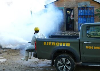 Ejército retoma operativo contra dengue