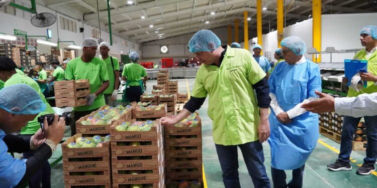 Proindustria realiza feria de empleo en Peravia