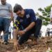 Alcaldía SDE inicia plan siembra de árboles en avenida Ecológica