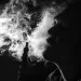 Senado endurece Ley prohíbe uso Hookah