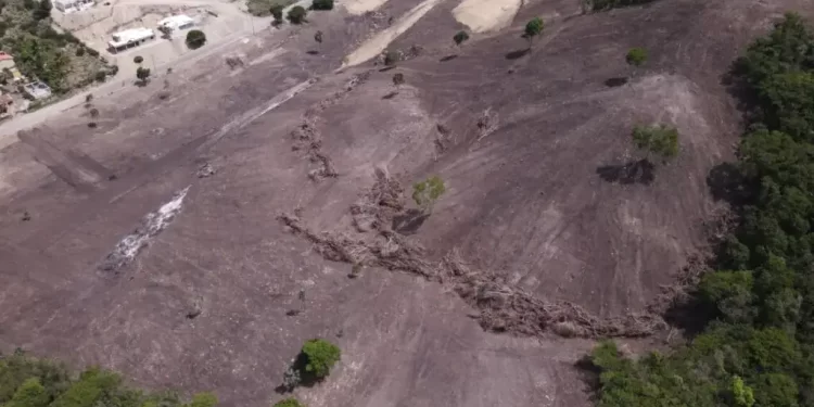 Prisión preventiva contra responsable desmonte de bosque seco en Buen Hombre