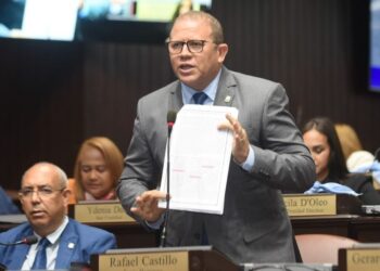 Rafael Castillo vocero bloque de diputados Fuerza del Pueblo