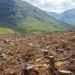 Medio Ambiente espera tribunales castiguen a responsable de un desmonte de bosque seco en Buen Hombre