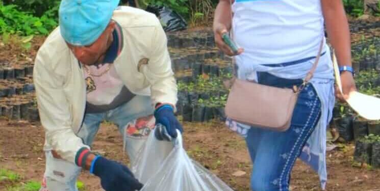 Iniciativa «Los Cacaos Sin Plástico» recolecta botellas de plástico y vidrio en San Cristóbal