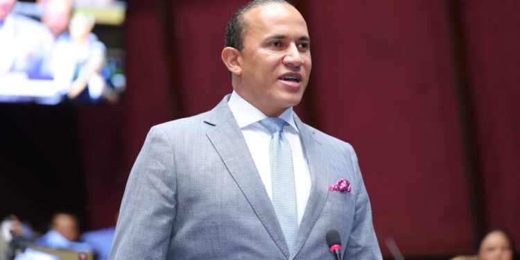 Diputado defiende gestión Faride Raful en Ministerio de Interior