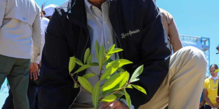 Presidente encabeza siembra plantas endémicas cuenca río Yaque del Norte