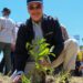Presidente encabeza siembra plantas endémicas cuenca río Yaque del Norte