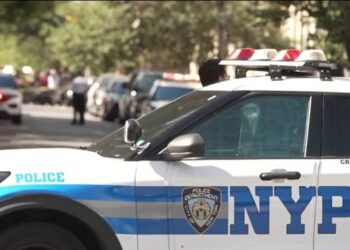 Alcalde NY despliega policías en el Bronx ante ola de violencia